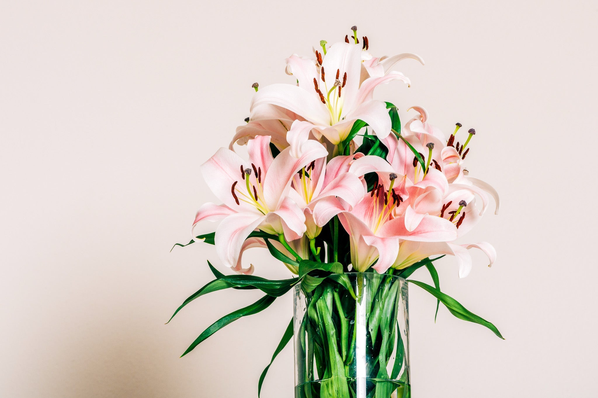 Lilies Bouquet - Flower Rush Philippines