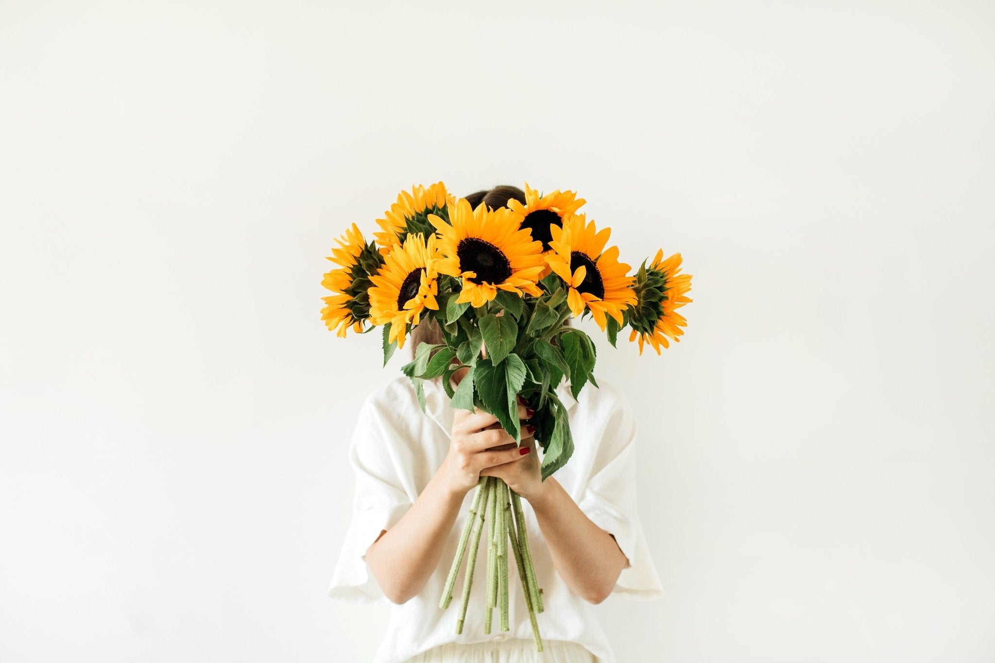 Sunflowers - Flower Rush Philippines